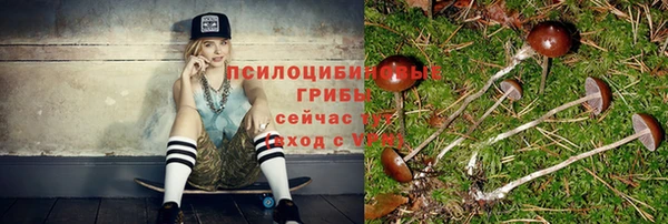 эйфоретик Алзамай